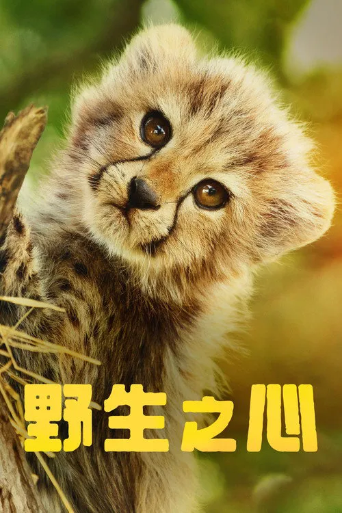 生而狂野海报