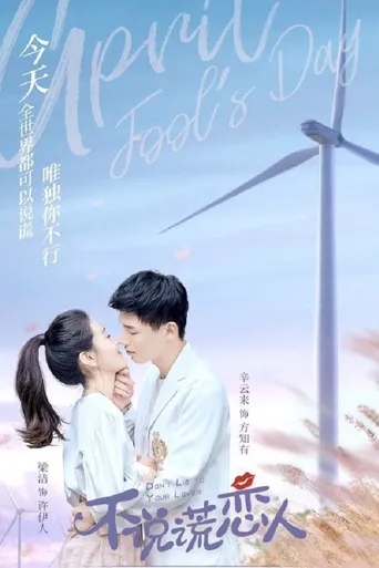 不说谎恋人海报
