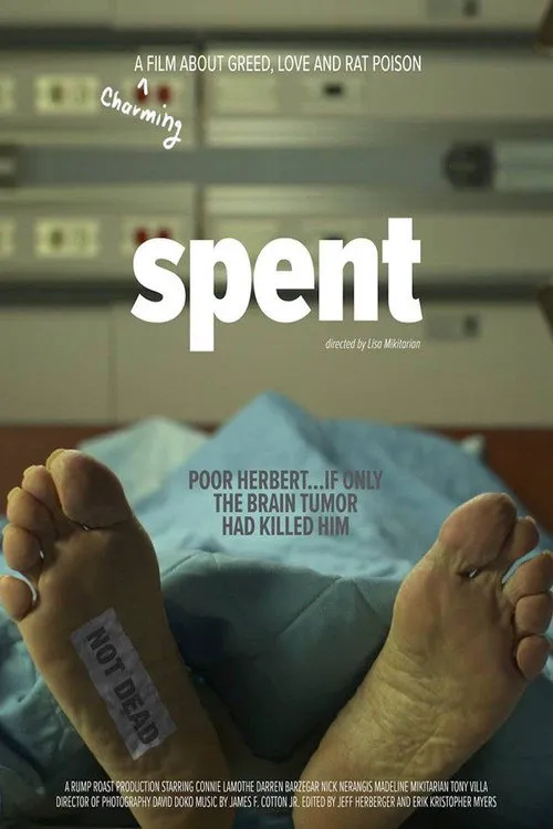 Spent海报