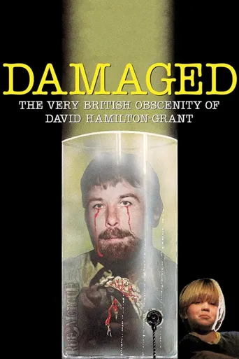 受损：大卫·汉密尔顿·格兰特的英国式淫秽历史海报