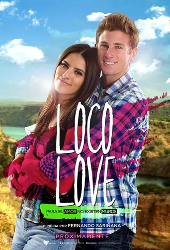 loco love海报