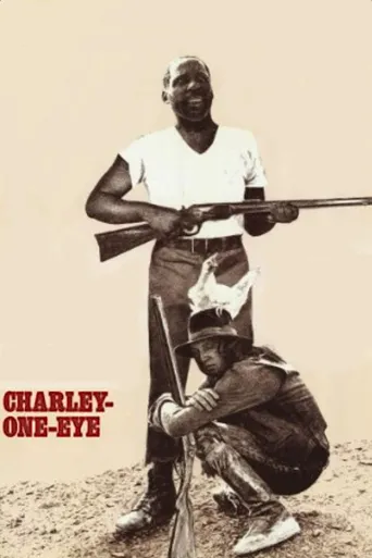 独眼查理海报