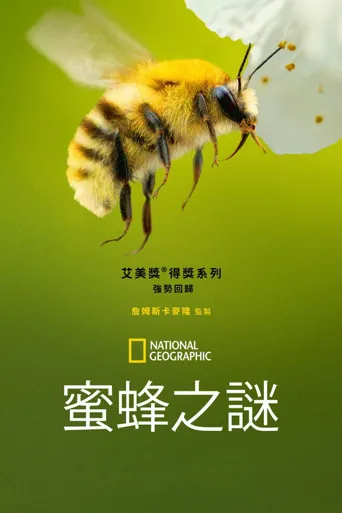 蜜蜂的秘密海报
