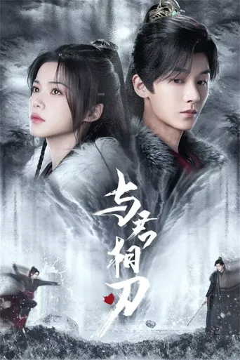 与君相刃海报