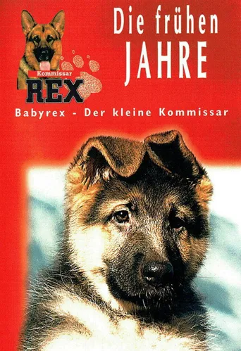 神犬侦探海报