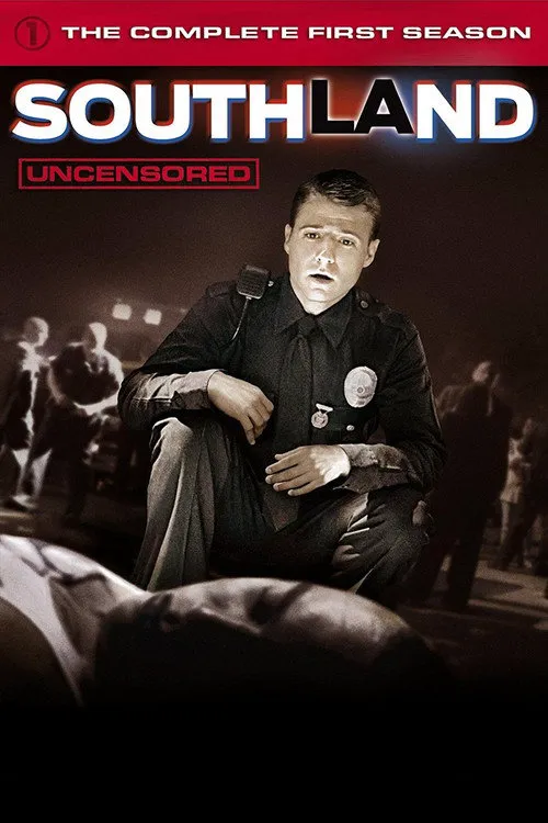 南城警事 第 1 季海报