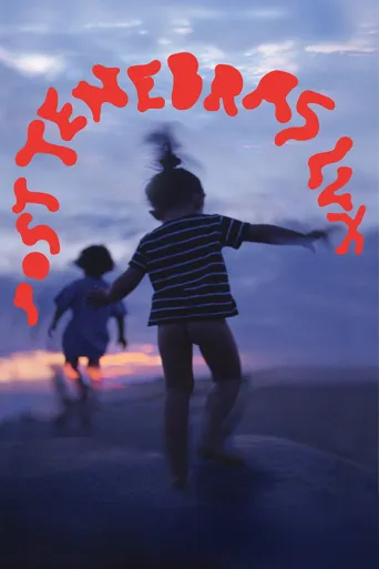柳暗花明海报