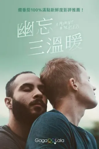 芦苇荡的时光海报