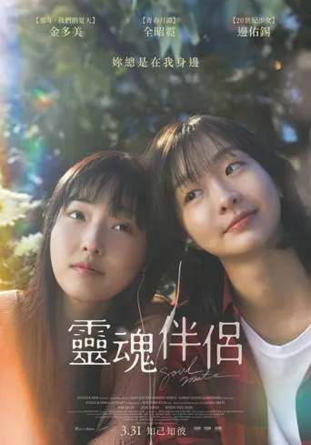 再见，我的灵魂伴侣海报