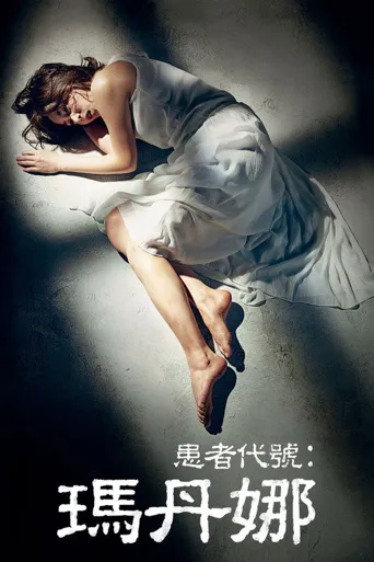 圣母海报