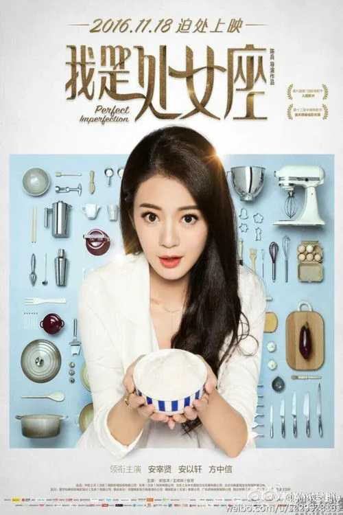 我是处女座海报