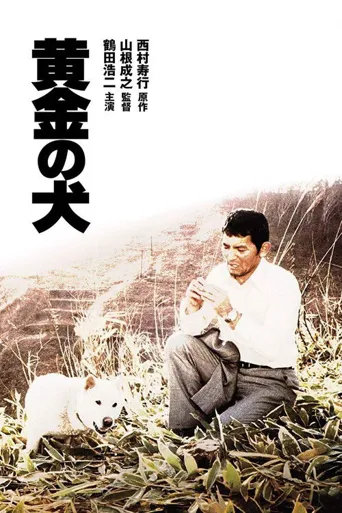 黄金之犬海报