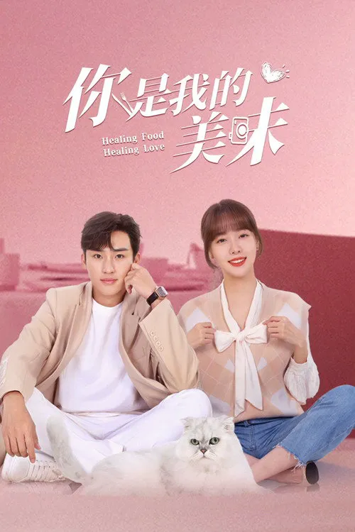 你是我的美味海报