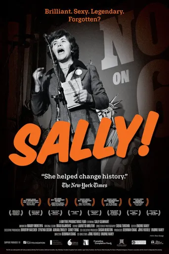 Sally!海报