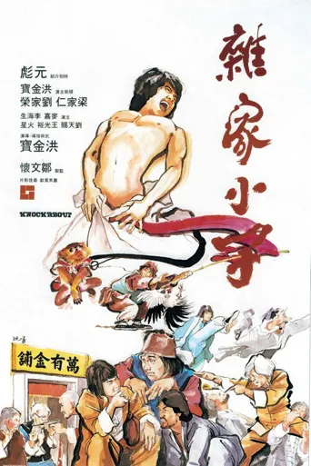 杂家小子海报