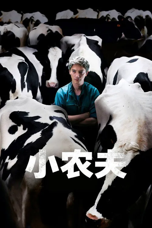 小农夫海报