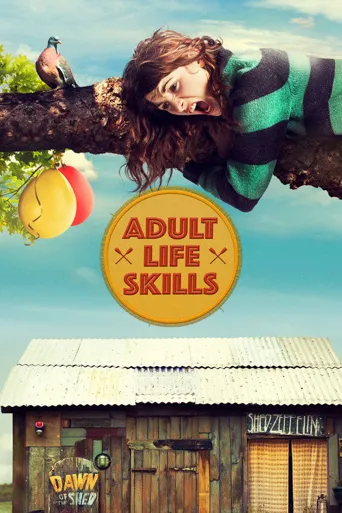 抓狂的安娜海报