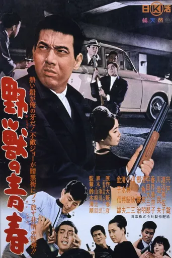 野兽的青春海报