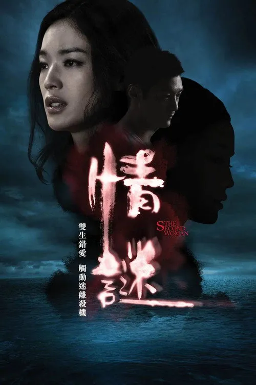 情谜海报