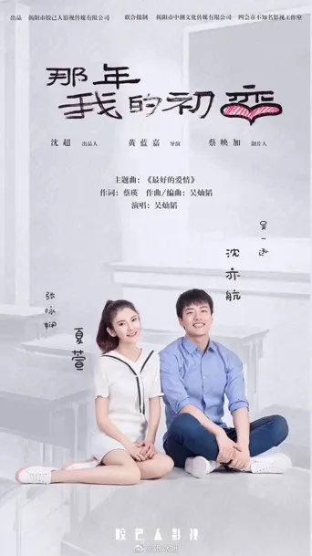 那年我的初恋海报