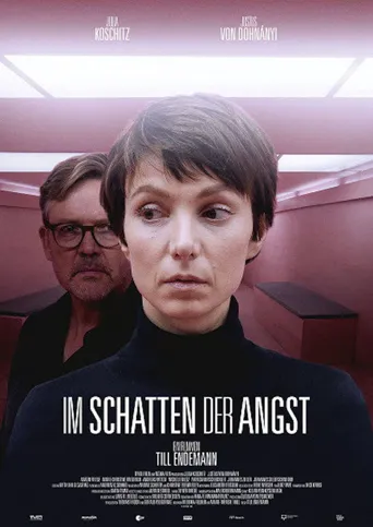在恐惧的阴影下海报
