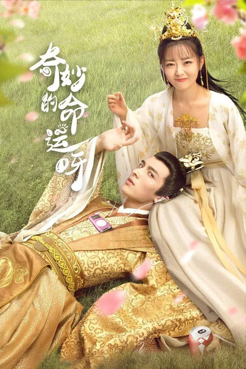 奇妙的命运呀海报