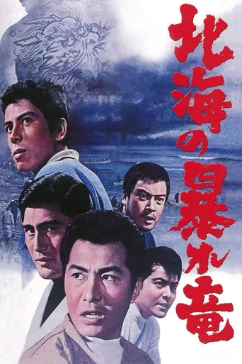 北海暴龙海报