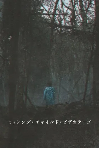 失踪儿童录像带海报