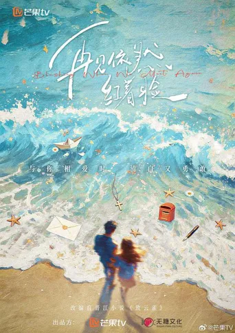 再见依然红着脸 第 1 季海报