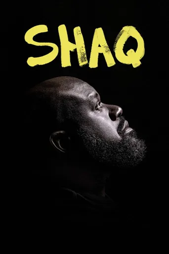 Shaq海报