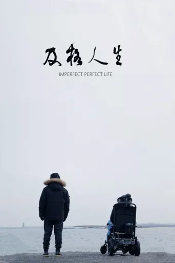 及格人生海报