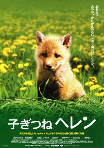 子狐物语海报