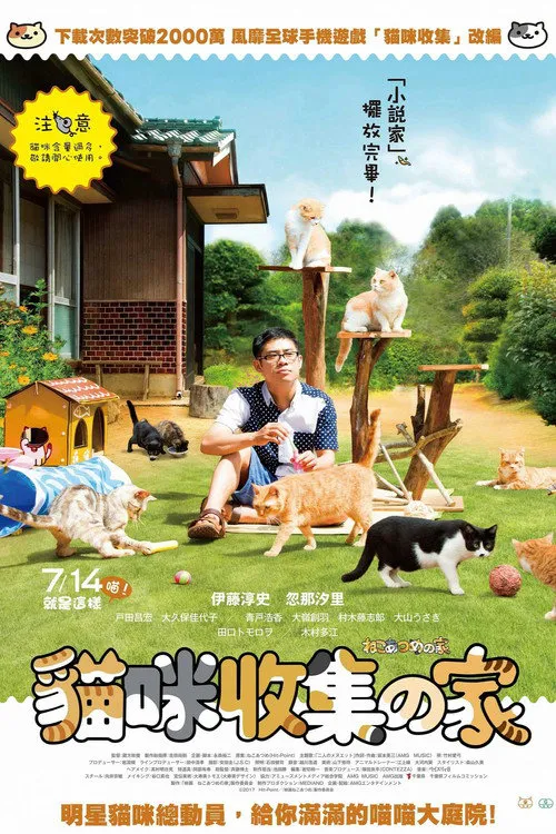 猫咪后院之家海报