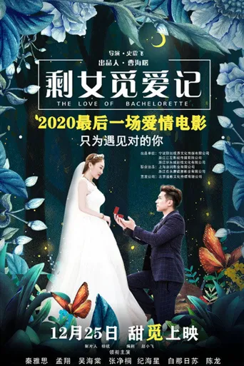 剩女觅爱记海报