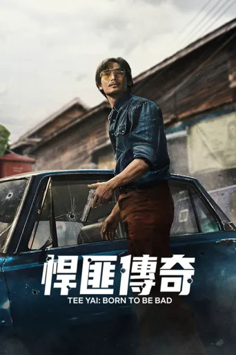 悍匪传奇海报