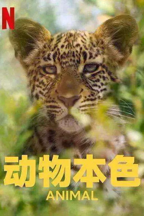 动物本色 第 1 季海报