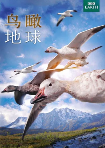 鸟瞰地球海报
