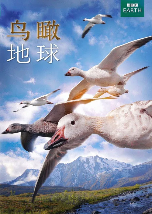 鸟瞰地球海报