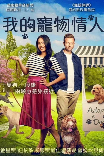完美先生海报