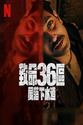 致命36区海报