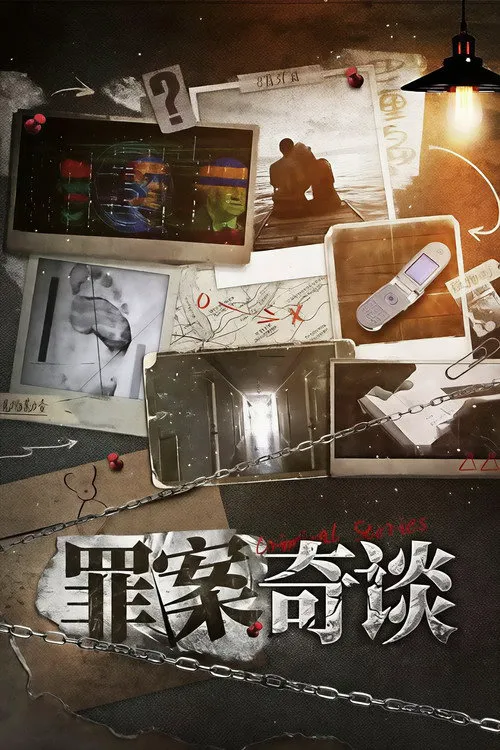 罪案奇谈海报