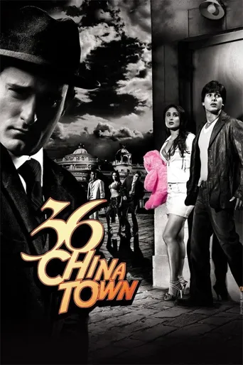 中国城36号海报