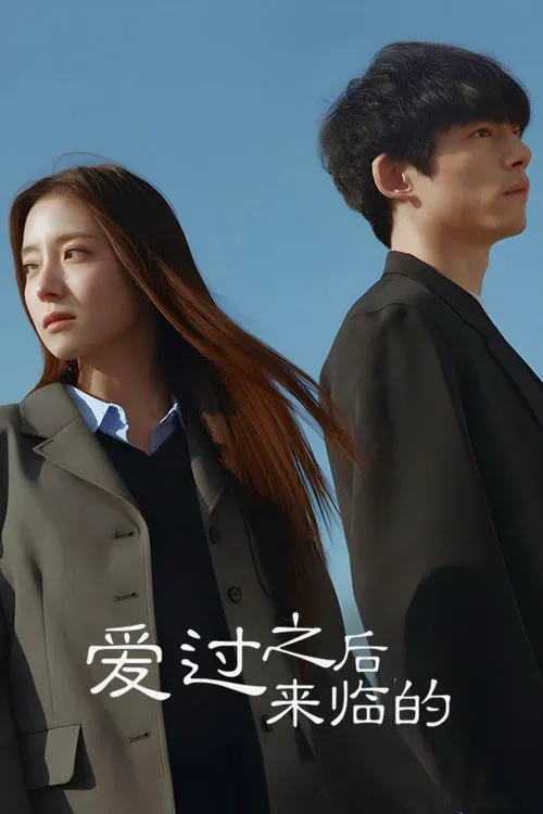 爱过之后来临的海报