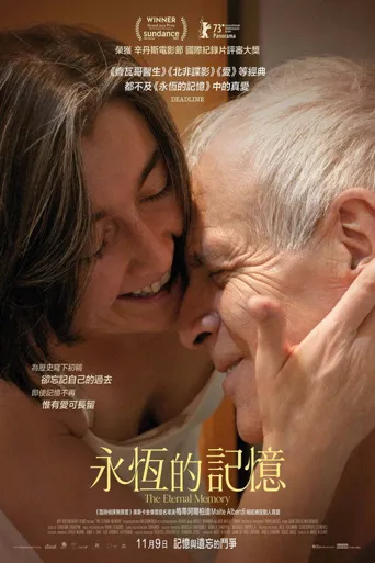 永恒的记忆海报