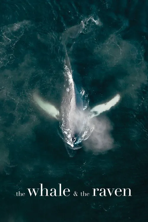 The Whale and the Raven海报
