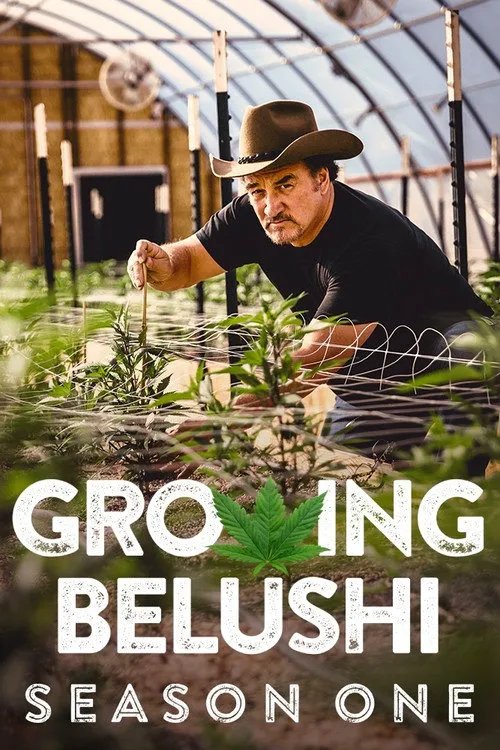 Growing Belushi 第 1 季海报