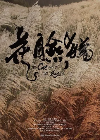 花脸猫海报