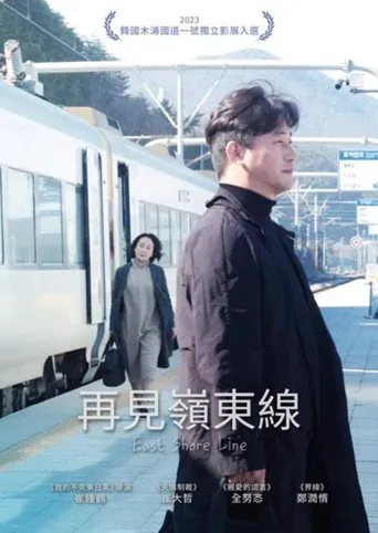 再见岭东线海报