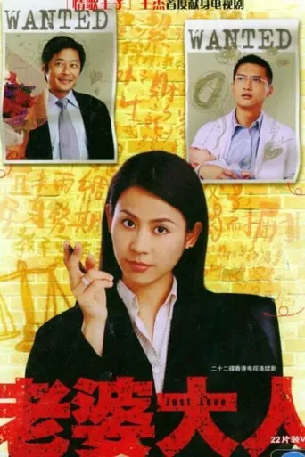 老婆大人海报