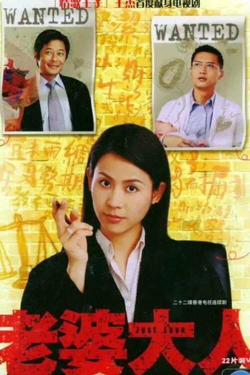 老婆大人海报